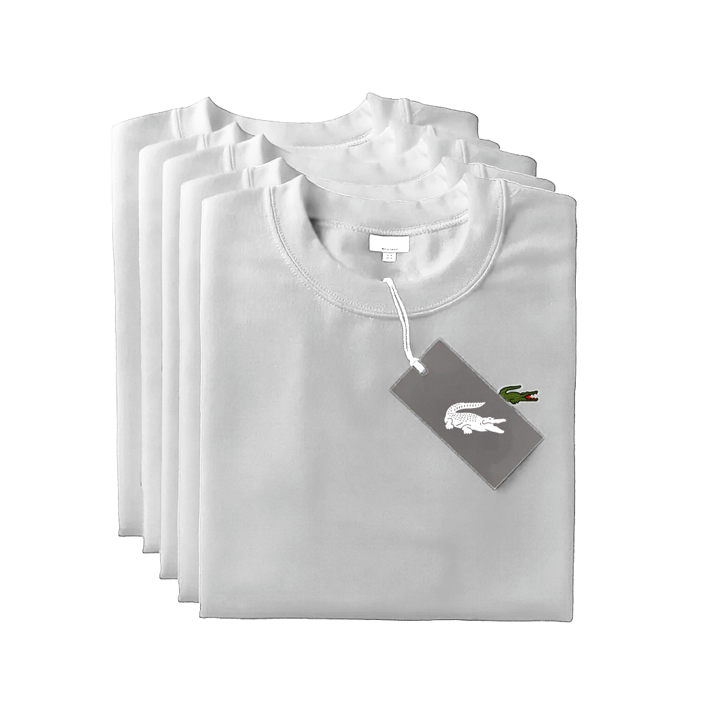 [BUY 1 GET 5] Premium T-Shirt Kit – Essential (5 - Shirts)